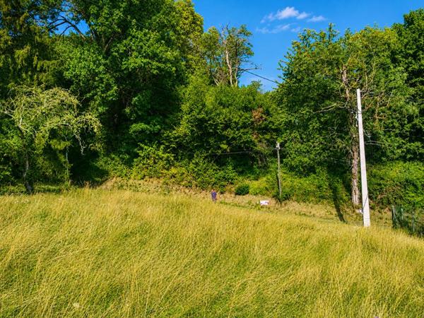 Terrain Gillonnay 1346 m2