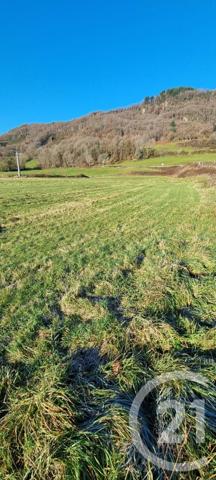 Terrain à vendre  13968 m2 VIC SUR CERE - 15