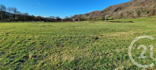 Terrain à vendre  13968 m2 VIC SUR CERE - 15
