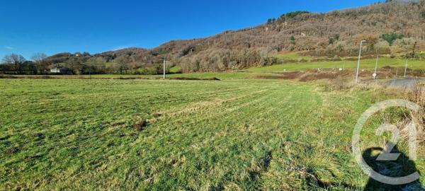 Terrain à vendre  13968 m2 VIC SUR CERE - 15