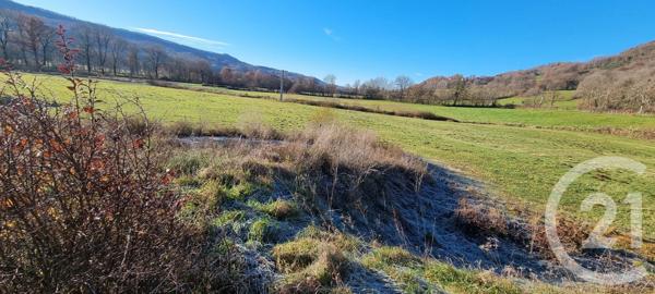 Terrain à vendre  13968 m2 VIC SUR CERE - 15