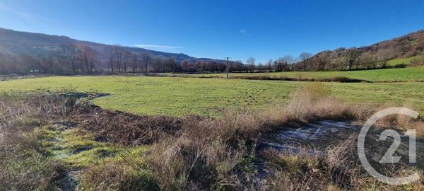 Terrain à vendre  13968 m2 VIC SUR CERE - 15