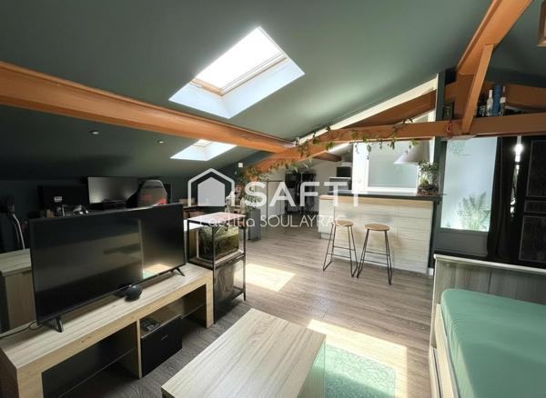 Bel appartement en centre ville, avec cave et jardin.
