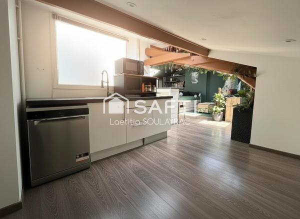 Bel appartement en centre ville, avec cave et jardin.
