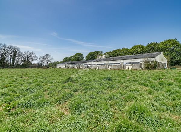 Ferme 1 pièce(s) 660 m2