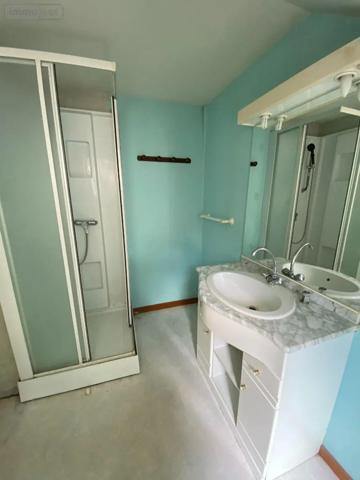 Achat - Maison Châtillon-sur-Indre 36700 2 pièces 57 m 2