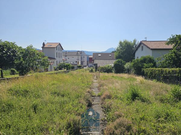 Terrain