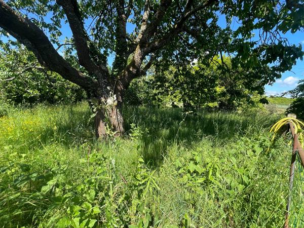 Maison Forest Montiers 2 chambres
