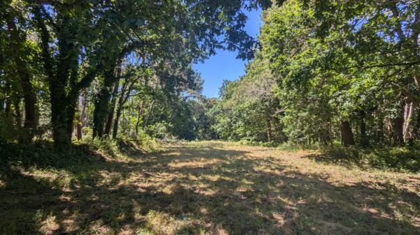 Maison familiale de 5 chambres à rénover – Sous-sol complet – Terrain de 8 291 m² – À 1,6 km de la Petite Mer de Gâvres