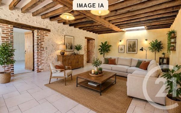 Maison à vendre  7 pièces - 242,50 m 2   VILLEBAROU  - 41