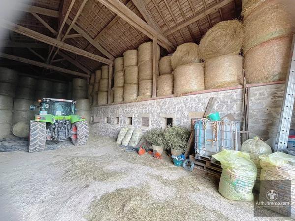 Vente Local commercial à Noailly