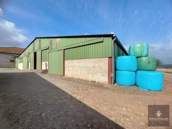 Vente Local commercial à Noailly