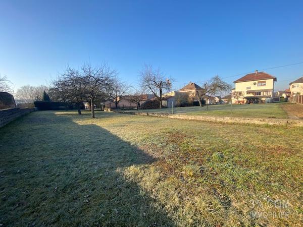 3%.COM Grande maison avec dépendance sur 10 ares Schwindratzheim (67270)