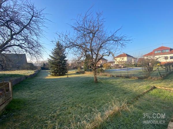 3%.COM Grande maison avec dépendance sur 10 ares Schwindratzheim (67270)