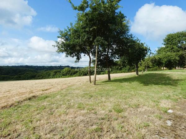 Vente Maison 2 pièces 300 m2 à Saint-Donan