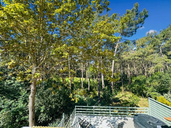 À vendre : Un HAVRE DE PAIX dans la pinède, à LACANAU OCEAN (33)