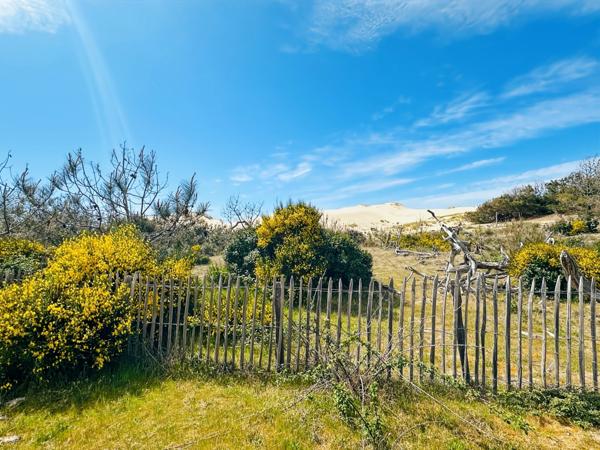 À vendre : Un HAVRE DE PAIX dans la pinède, à LACANAU OCEAN (33)