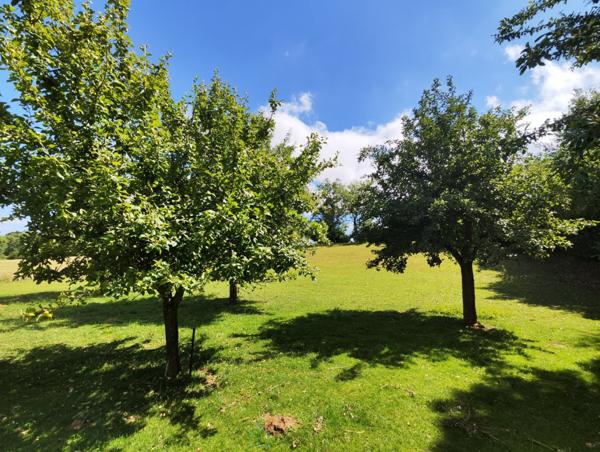 Achat vente Pavillon Orbec