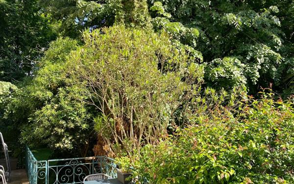 Appartement à vendre    6 pièces •  Narrosse