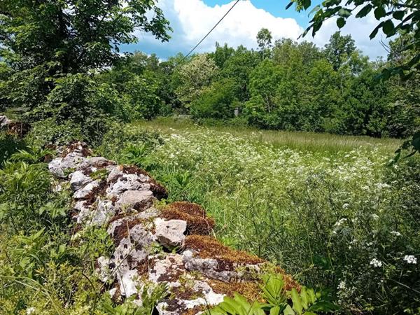 Maison  4 pièce(s) 104 m2 , grange