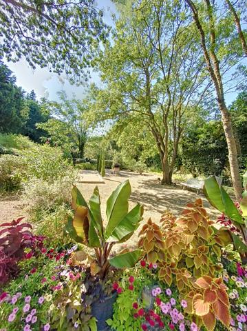 MAS de 155m² + gîte de 40 m² Saint Rémy de Provence