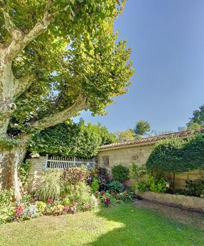 MAS de 155m² + gîte de 40 m² Saint Rémy de Provence