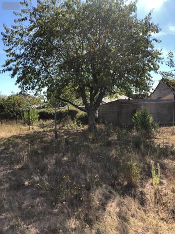 Achat - Maison Reuilly 36260 3 pièces 60 m 2 776 m 2