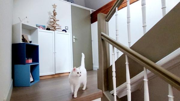 Du volume (145m2), du style et une belle vue– Duplex à Lingolsheim