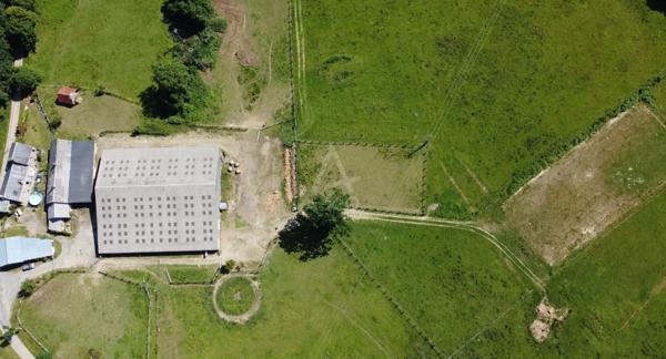 Deux habitations sur 12 hectares – Manège – 25 boxes – Maison de caractère rénovée