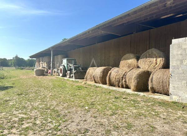 Deux habitations sur 12 hectares – Manège – 25 boxes – Maison de caractère rénovée