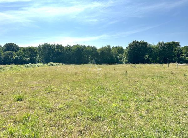 Deux habitations sur 12 hectares – Manège – 25 boxes – Maison de caractère rénovée