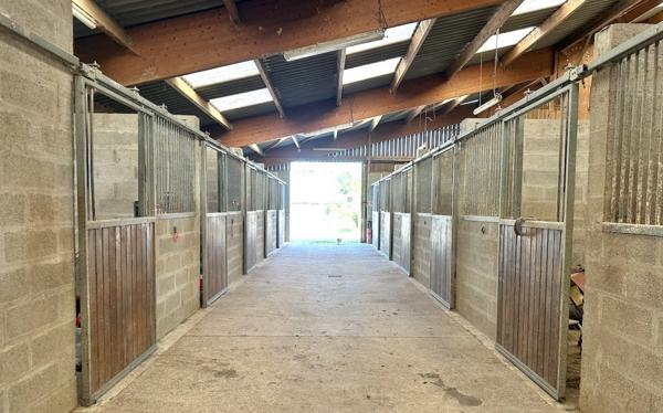 Deux habitations sur 12 hectares – Manège – 25 boxes – Maison de caractère rénovée