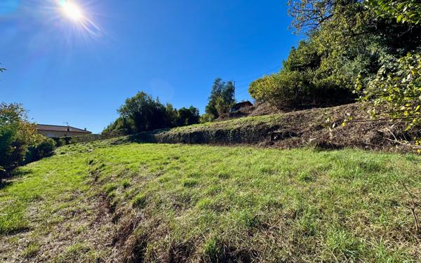 Terrain à vendre    Grasse
