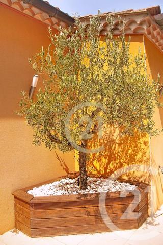 Maison à vendre  7 pièces - 285,44 m2 BEAUCAIRE - 30