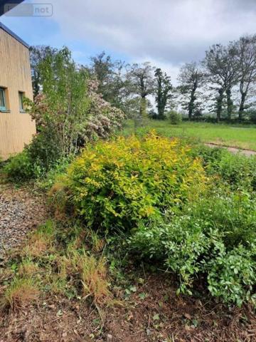 Local professionnel à vendre à Campel en Ille-et-Vilaine (35330), ref : 3211