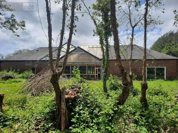 Local professionnel à vendre à Campel en Ille-et-Vilaine (35330), ref : 3211