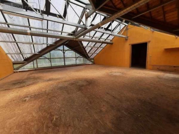 Local professionnel à vendre à Campel en Ille-et-Vilaine (35330), ref : 3211