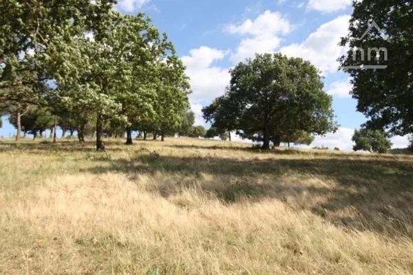 A vendre un terrain de presque 5 hectares, situé sur une zone à vocation de loisirs ou touristique.