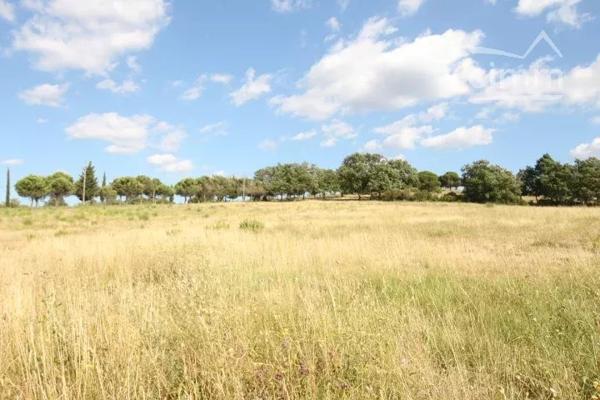 A vendre un terrain de presque 5 hectares, situé sur une zone à vocation de loisirs ou touristique.