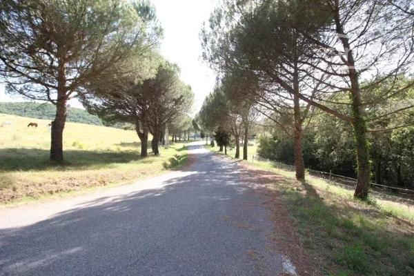 A vendre un terrain de presque 5 hectares, situé sur une zone à vocation de loisirs ou touristique.