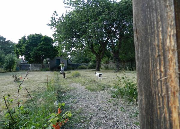 Maison à vendre    8 pièces •  Rambervillers