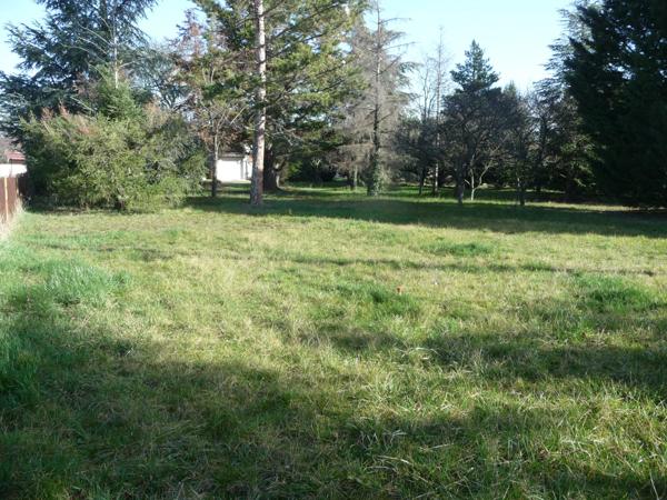 SAVIGNEUX proche centre terrain plat et arboré viabilisé 770 m² Savigneux (42600)