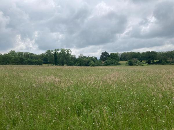 Terrain constructible