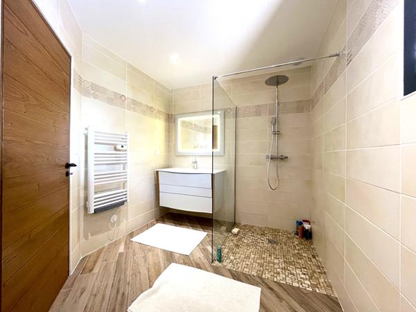 47300 VILLENEUVE SUR LOT Maison contemporaine de plain pied avec piscine et jardin.