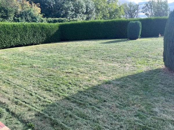 Achat - Maison Neuville-Vitasse 62217 4 pièces 125 m 2 1245 m 2