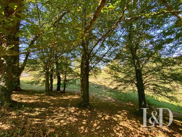 Propriété 6 pièces et dépendance, vue splendide sur les Pyrénées