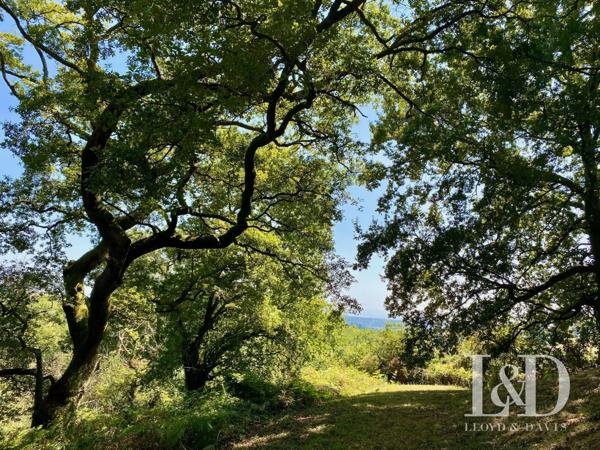 Propriété 6 pièces et dépendance, vue splendide sur les Pyrénées