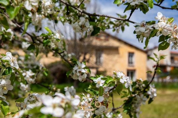 LE BRUSQUET  MAISON 160 M² HABITABLE + ANCIEN MOULIN 350 M² À RÉNOVER  TERRAIN 2237 M²  GARAGE  468 000 