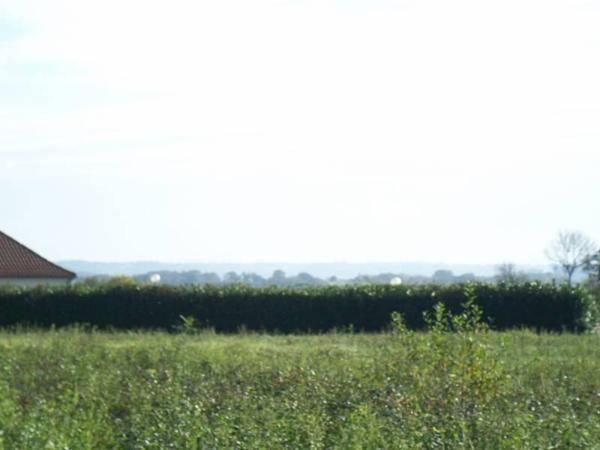 ACHAT : TERRAIN - Lembeye - Pyrénées-Atlantiques (64)