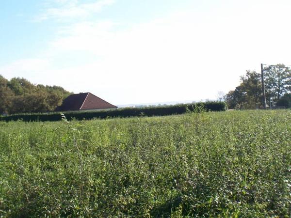 ACHAT : TERRAIN - Lembeye - Pyrénées-Atlantiques (64)